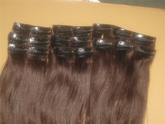 Clip In Hair Extensions